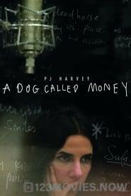 A Dog Called Money