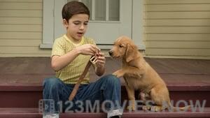 A Dog’s Purpose