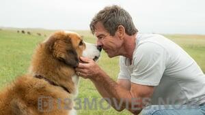 A Dog’s Purpose