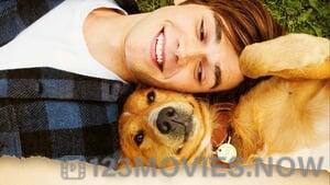 A Dog’s Purpose