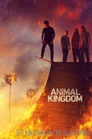 Animal Kingdom Season 1 Episode 5