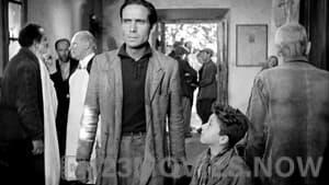 Bicycle Thieves