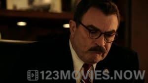 Blue Bloods Season 2 Episode 13