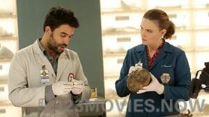 Bones Season 11 Episode 12