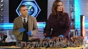 Bones Season 7 Episode 12