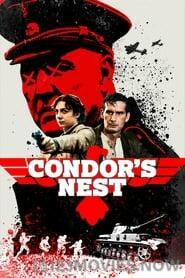 Condor’s Nest