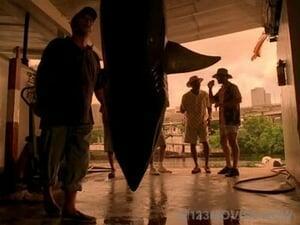 CSI: Miami Season 1 Episode 3