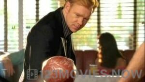 CSI: Miami Season 6 Episode 5