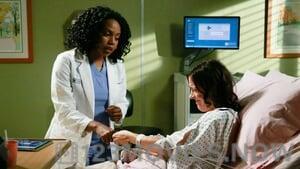 Grey’s Anatomy Season 11 Episode 20