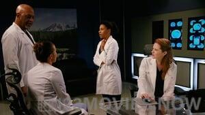 Grey’s Anatomy Season 11 Episode 20