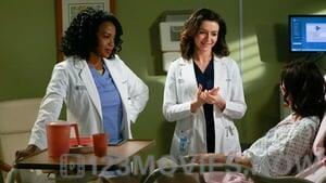 Grey’s Anatomy Season 11 Episode 20