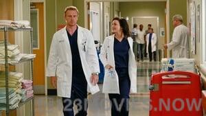 Grey’s Anatomy Season 11 Episode 20