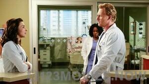 Grey’s Anatomy Season 11 Episode 20