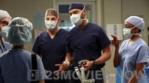 Grey’s Anatomy Season 9 Episode 14