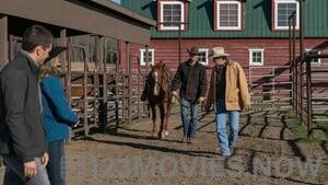 Heartland Season 9 Episode 14