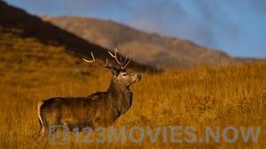 Highlands: Scotland’s Wild Heart