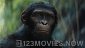 Kingdom of the Planet of the Apes