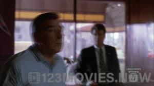 Law & Order Season 2 Episode 9