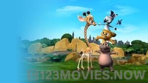 Madagascar: A Little Wild