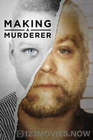 Making a Murderer Season 1 Episode 8