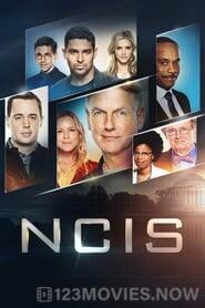 NCIS Season 19 Episode 15