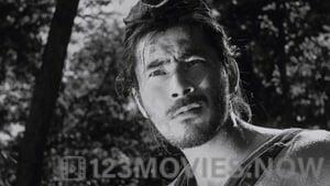 Rashomon