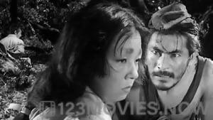 Rashomon