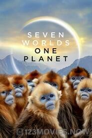 Seven Worlds, One Planet