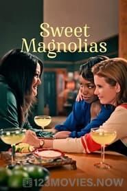 Sweet Magnolias Season 1 Episode 10