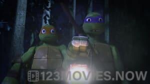 Teenage Mutant Ninja Turtles Season 3 Episode 1