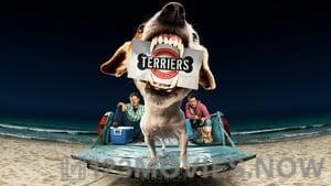 Terriers