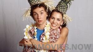 The Even Stevens