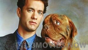 Turner & Hooch