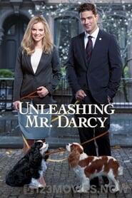 Unleashing Mr Darcy