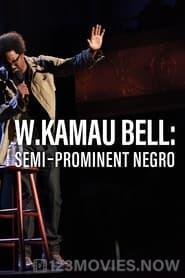 W. Kamau Bell: Semi-Prominent Negro