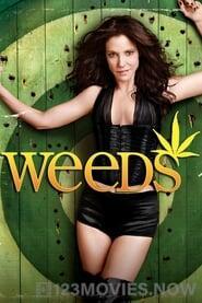 Weeds Season 2 Episode 4